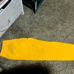 Alphalete amplify leggings